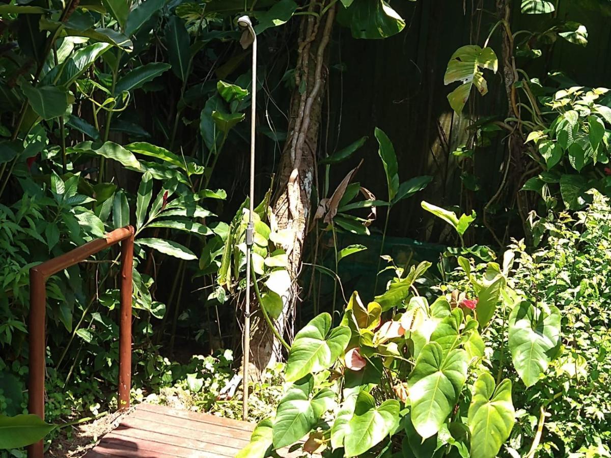 Casa No Morro - Charme Em Meio A Natureza Pertinho Da Praia 3 Dormitorios Sao Sebastiao  Luaran gambar